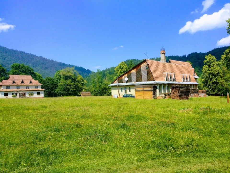 КАРПАТІ 2