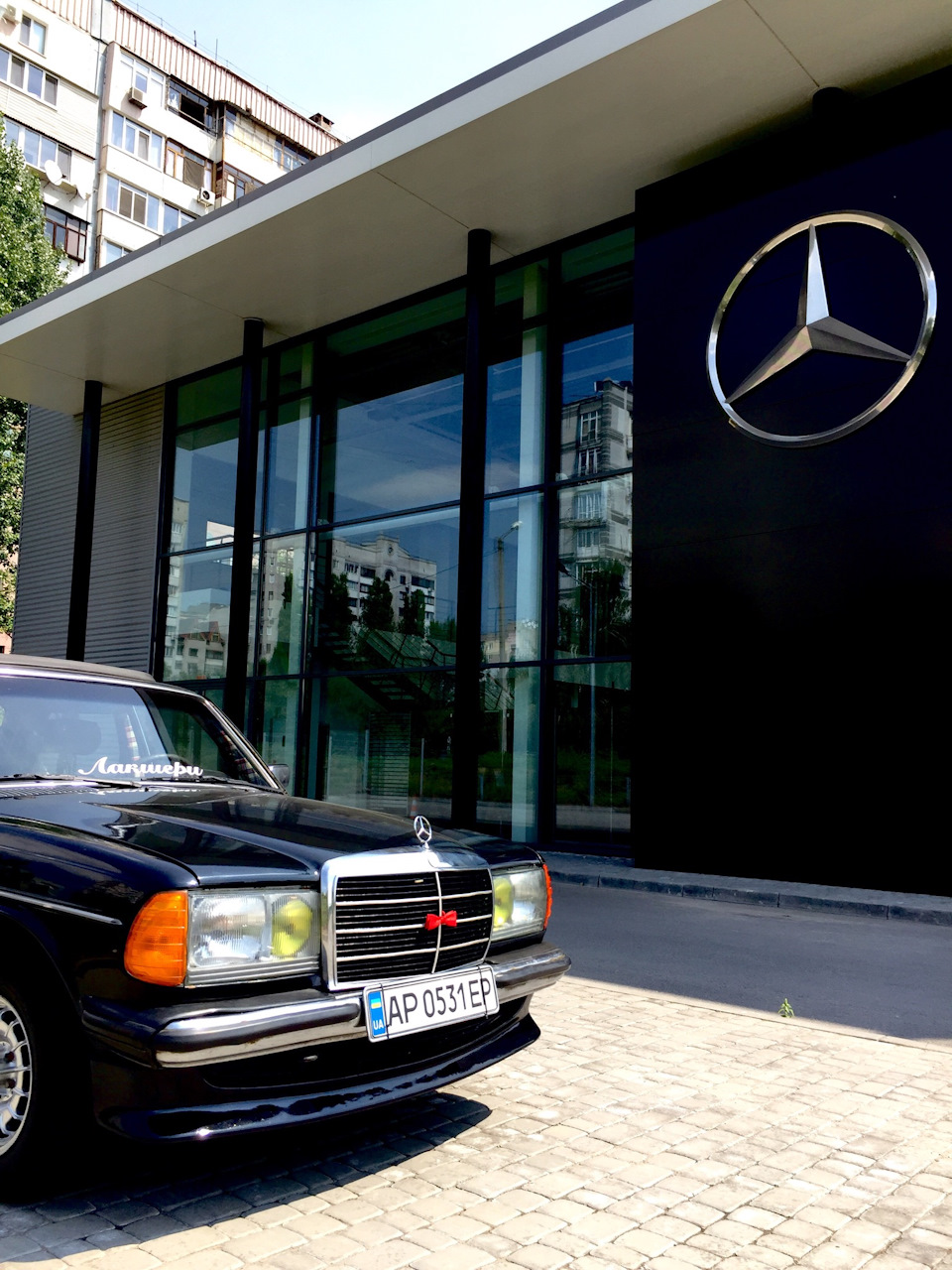 W123 Photos 3