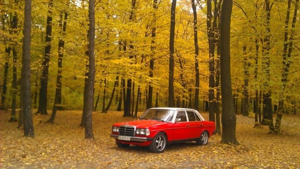 Осень…