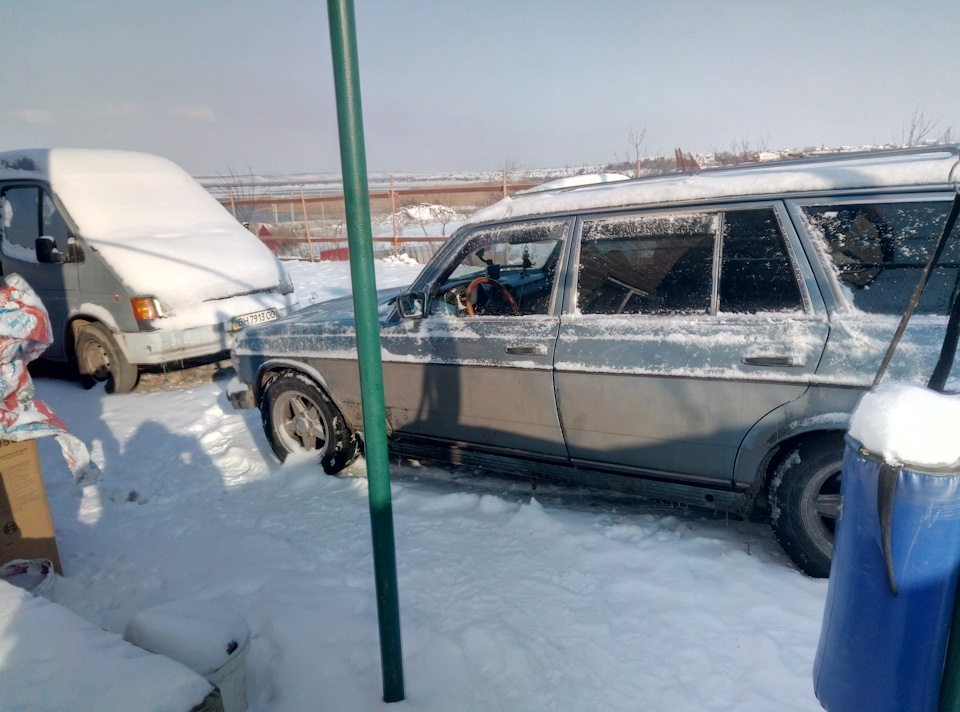 Готуй сани з літа…))), або з життя Чарлика ))) 4