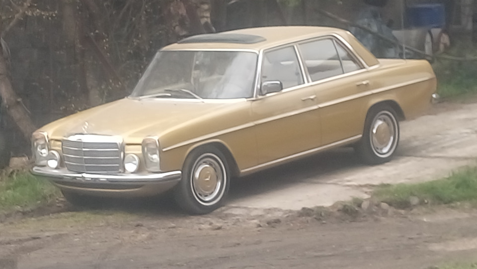 W114 230.6. Друге життя (доповнення))) 1
