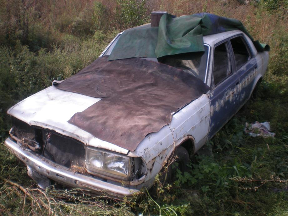 Донор. 1