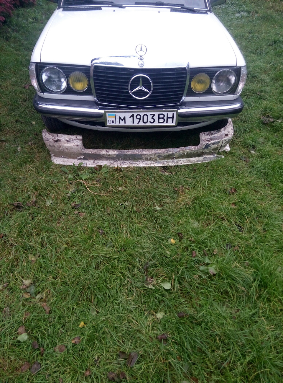 Губа ... як завжди випадково ... 1