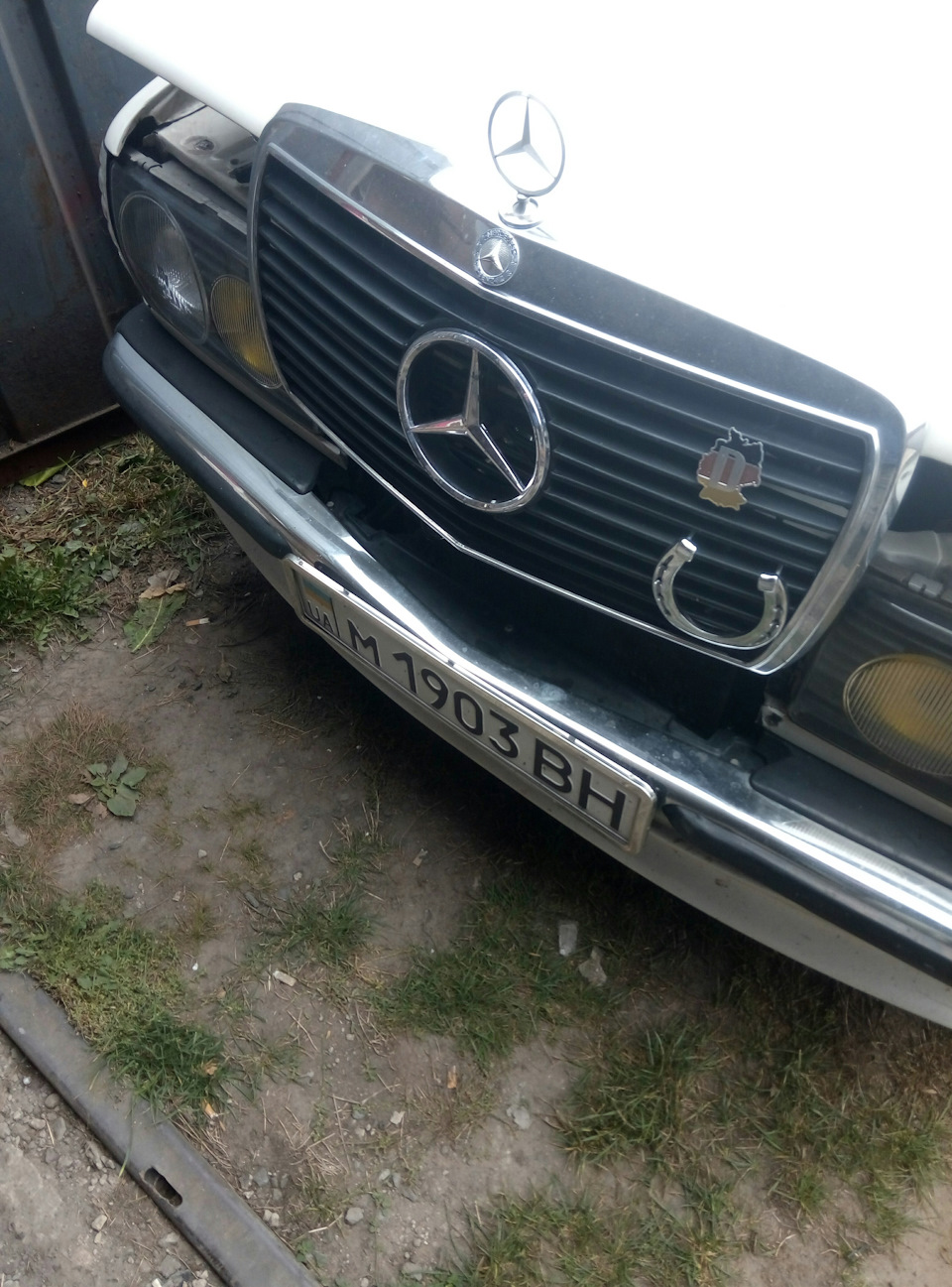обновки для Однорічки 3