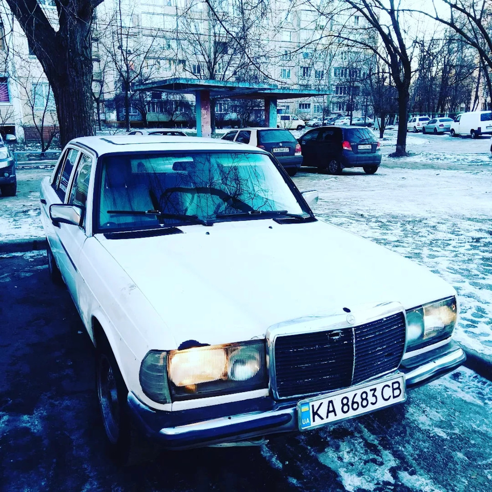 Просто пару зимових фото)) 4