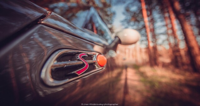 Фотосесія JCW in da forest. 5
