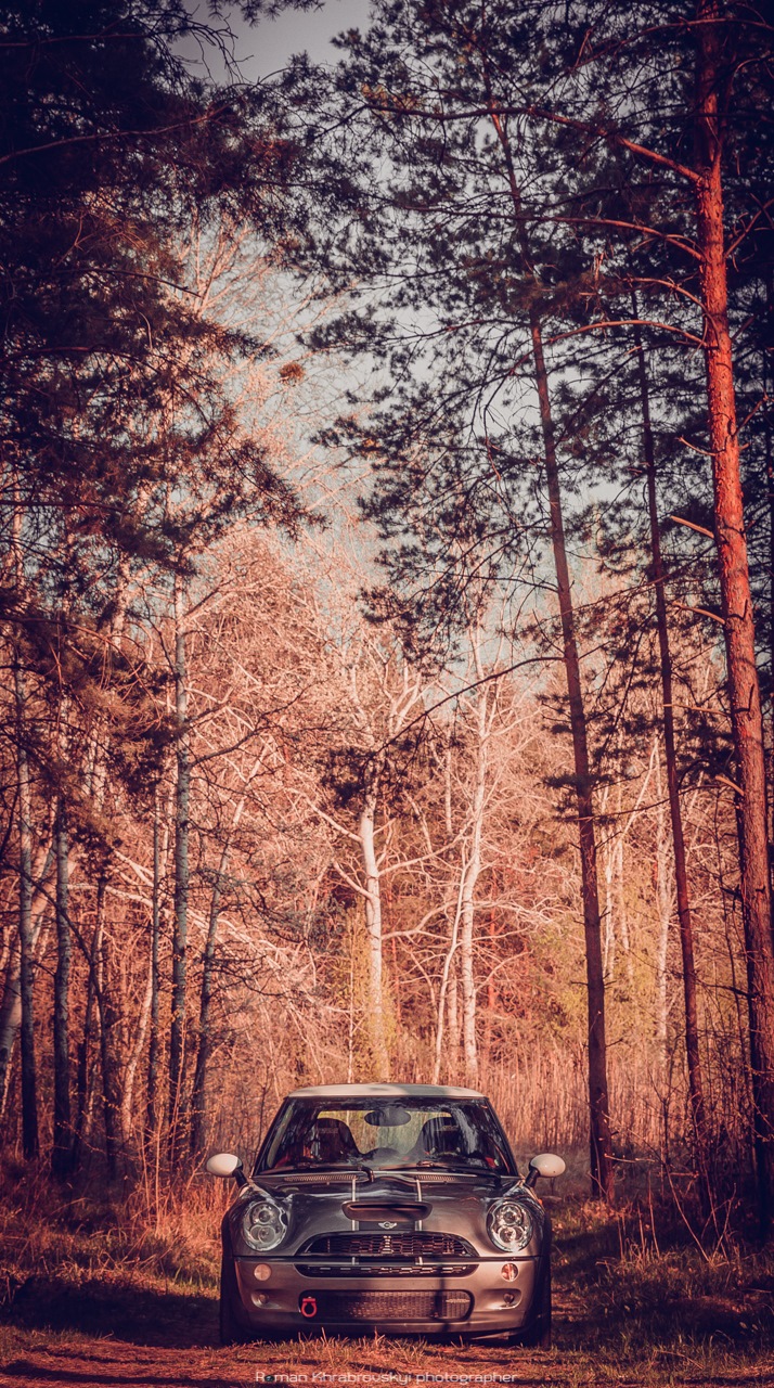 Фотосесія JCW in da forest. 3