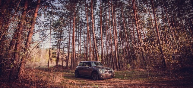 Фотосесія JCW in da forest. 4