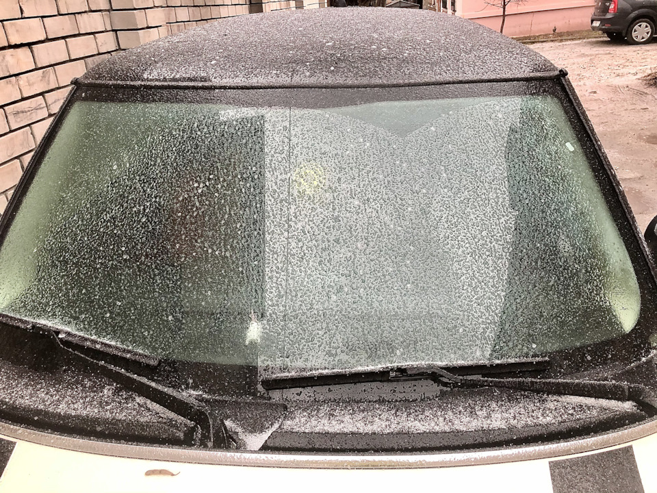 Mini снігу не бояться ❄️ 1