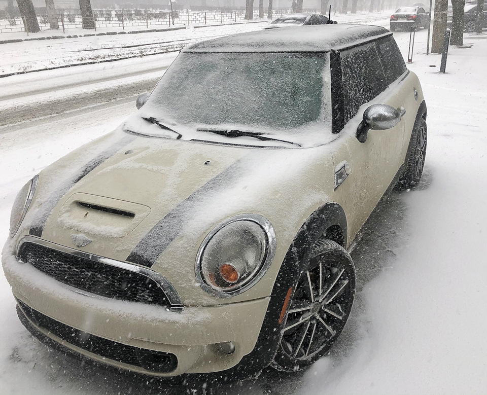 Mini снігу не бояться ❄️ 2