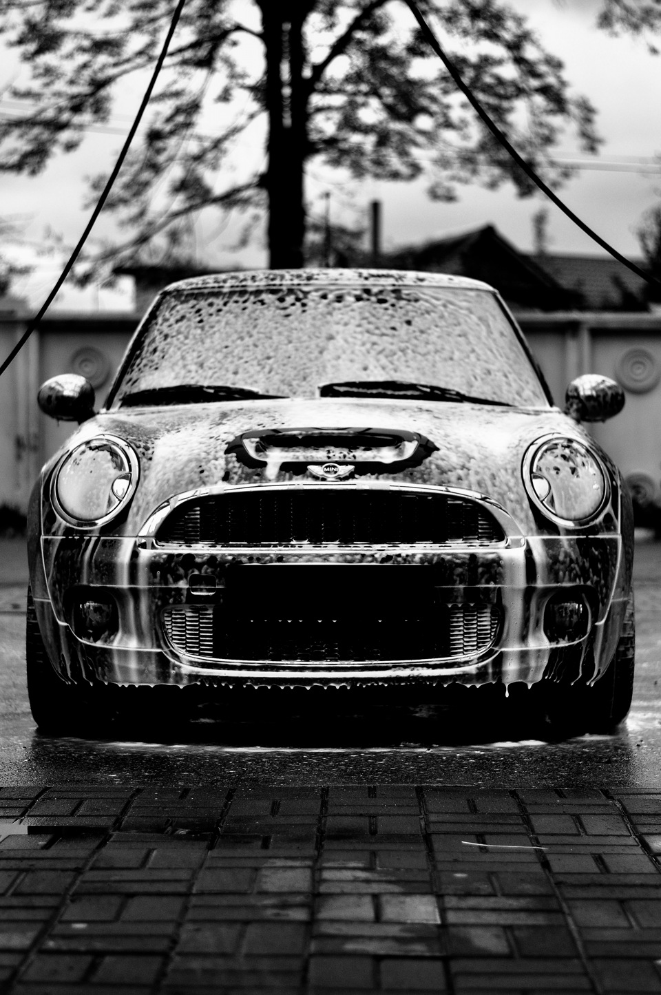 Photo By Viktor Skazko чорно білий екземпляр 2