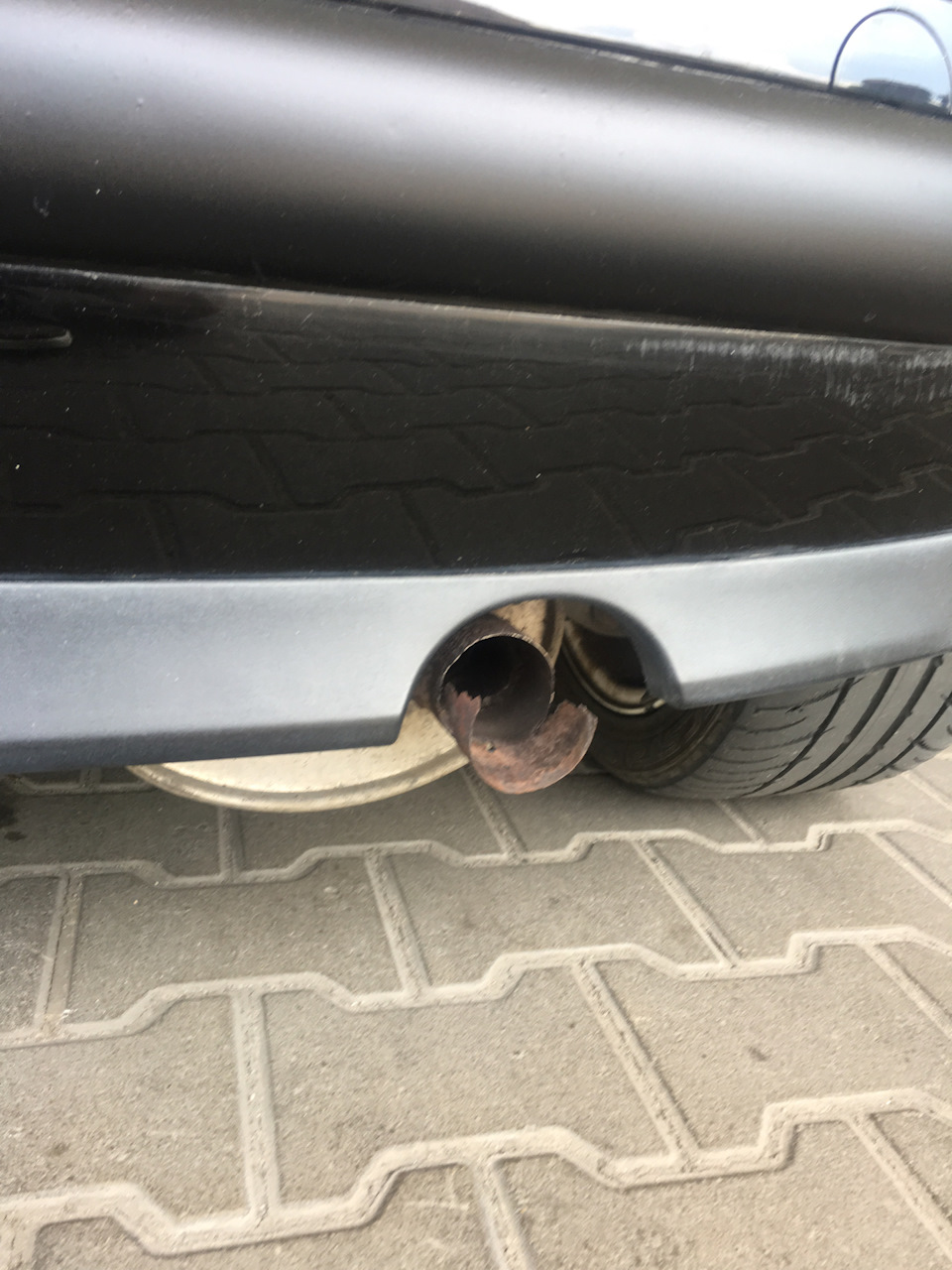 Адаптація пройшла успішно 4