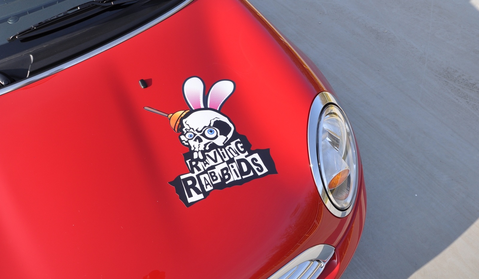 Raving Rabbids Vinyl 3
