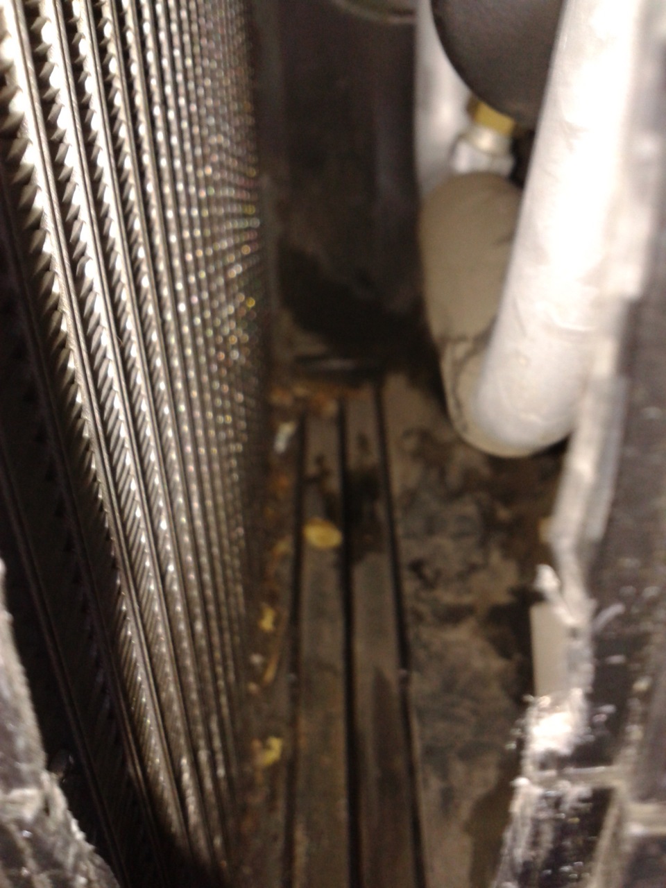 Профілактика та дезінфекція :) 2
