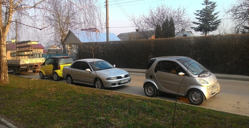 Вартові Карі) 1