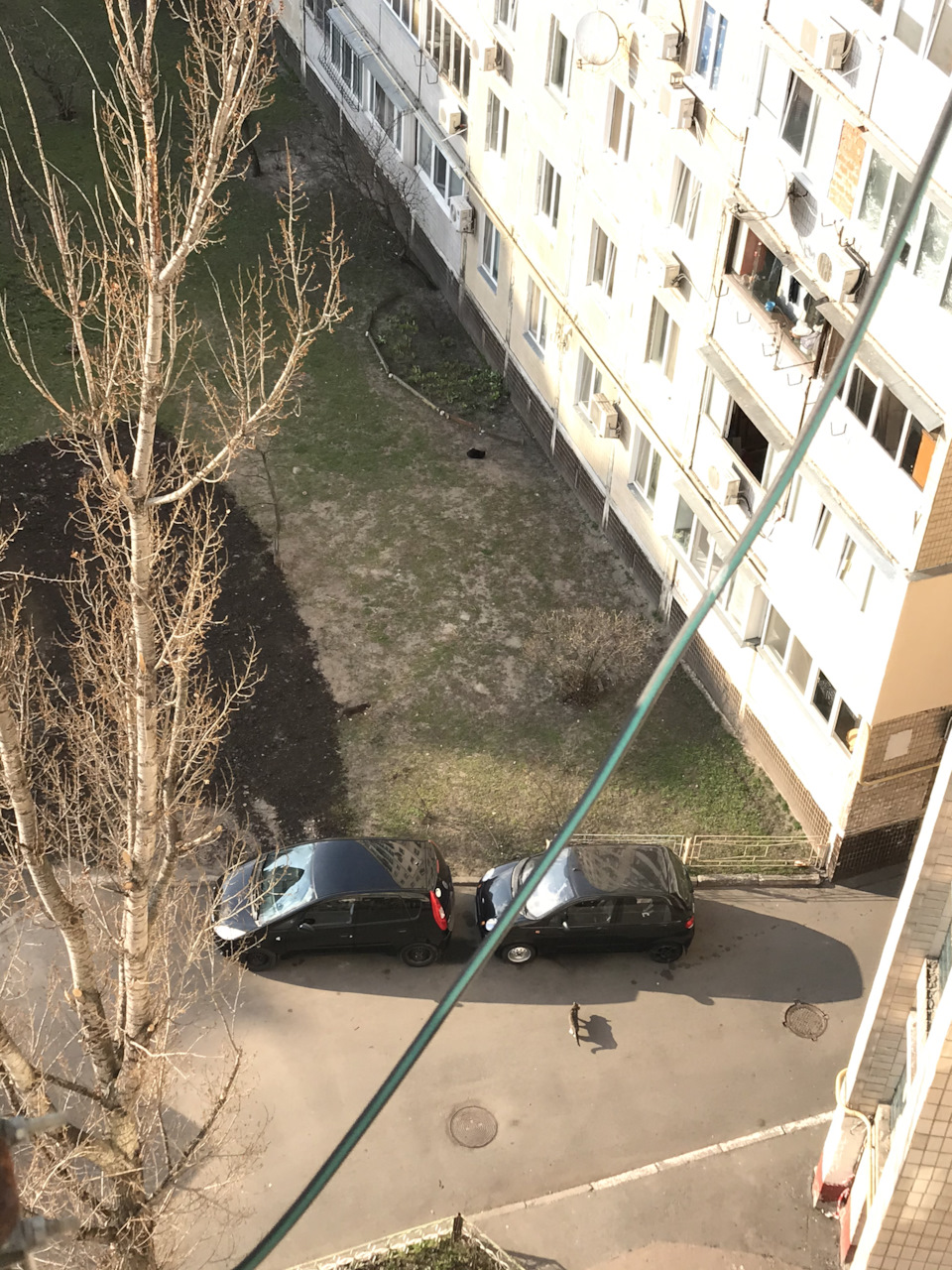 Контраст 2