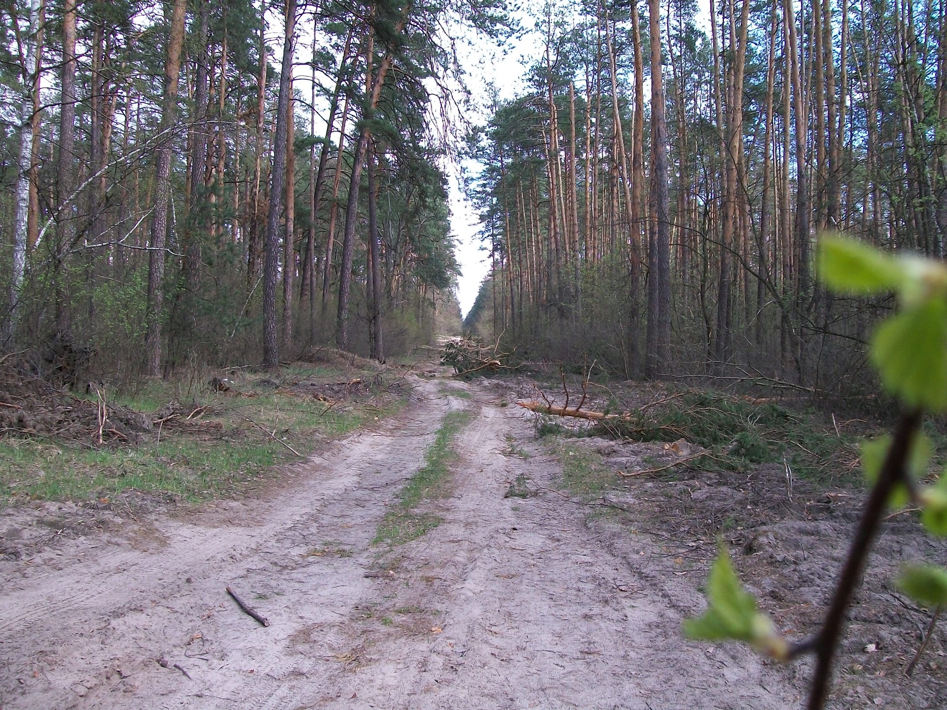 Дорога на Зазимье 5