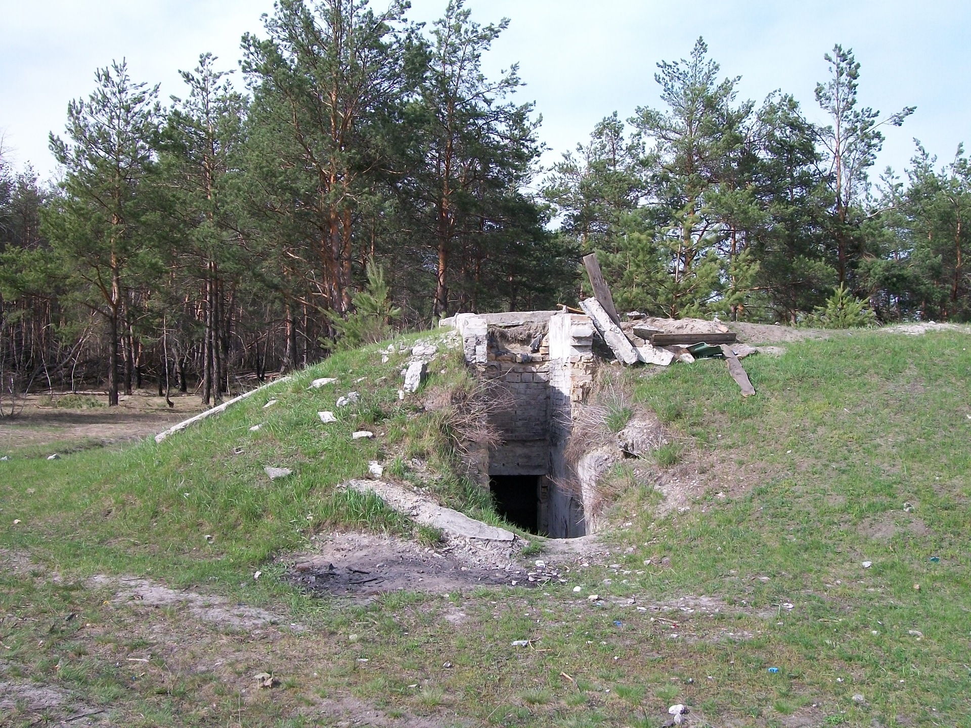 Кольт в лесу-2 2