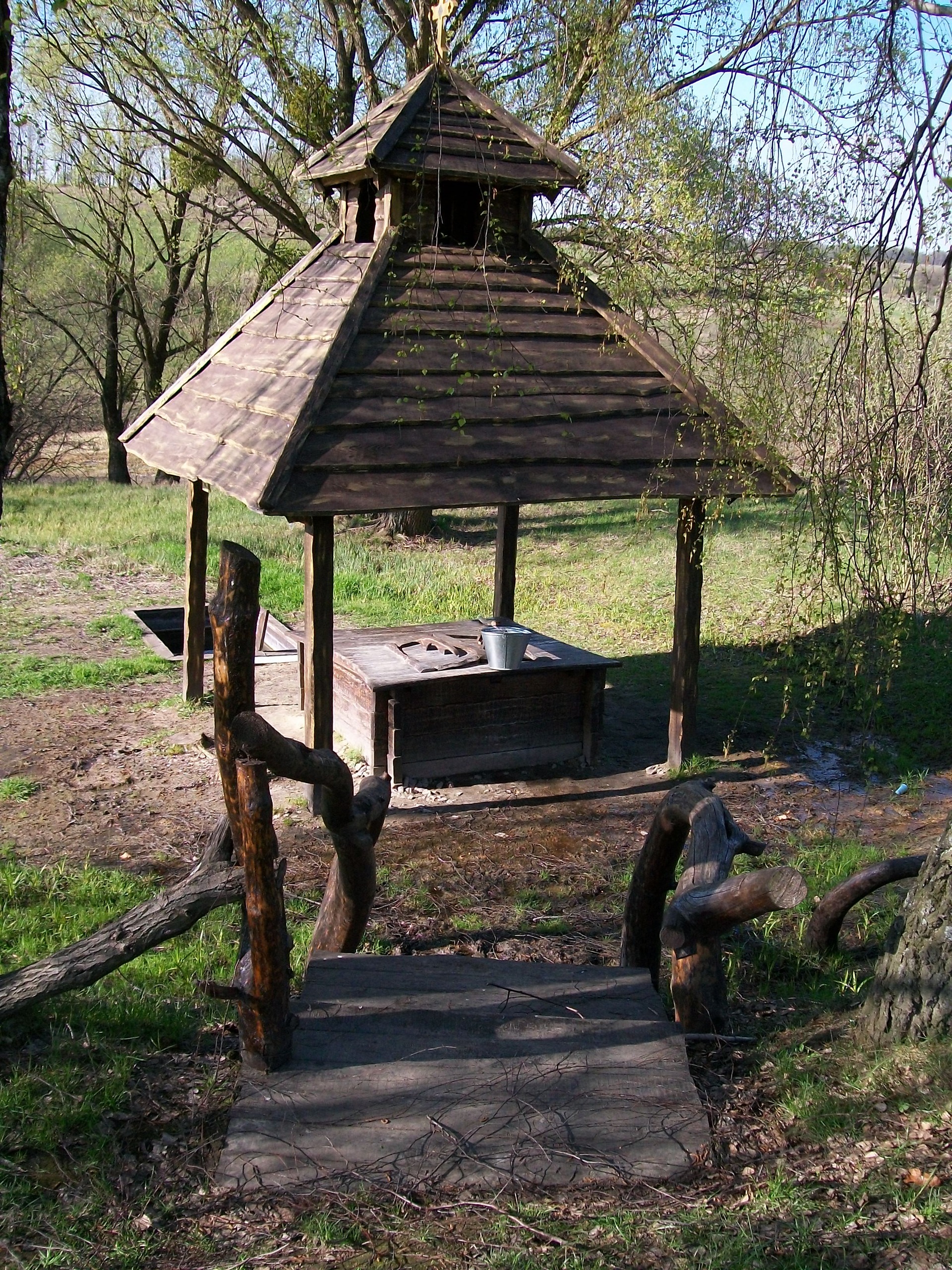 На Васильковщине… 5