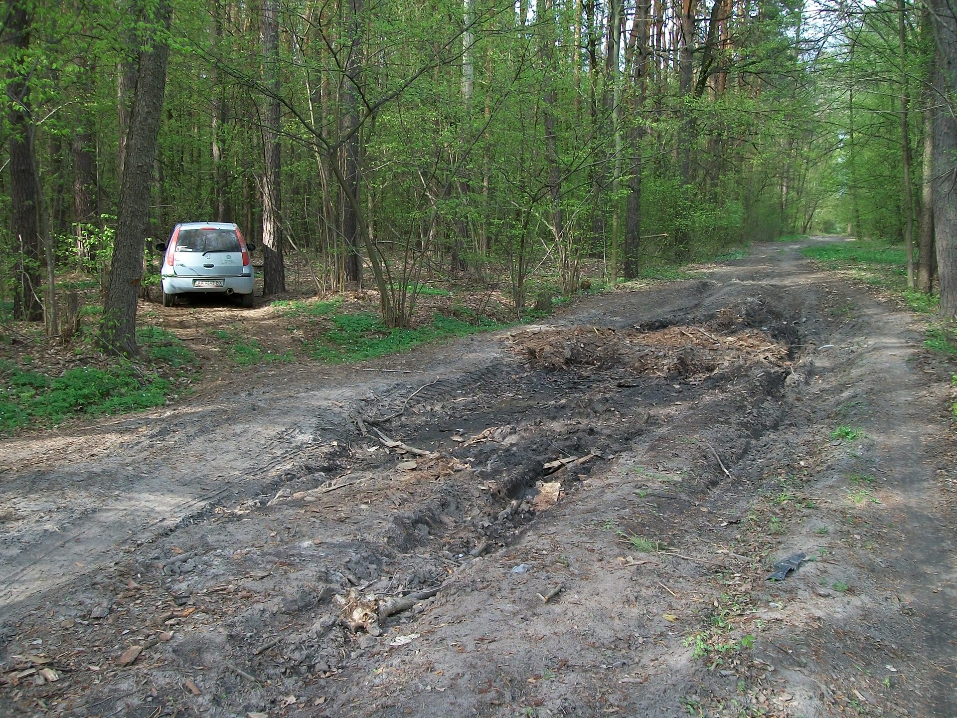 Просто кілька фоток Кольта на природі... 3
