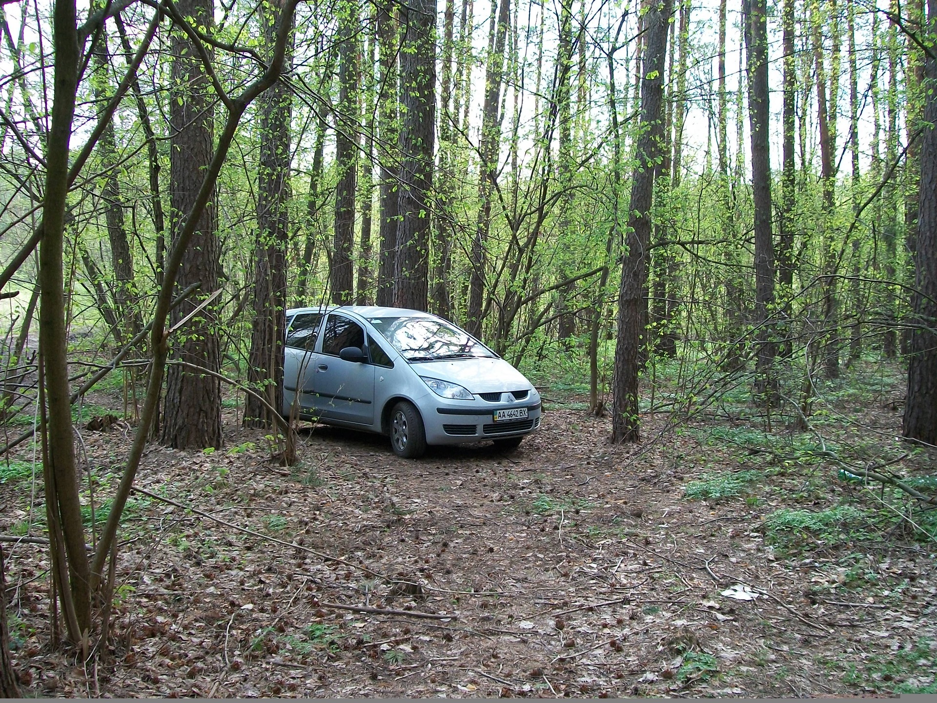 Просто кілька фоток Кольта на природі... 4