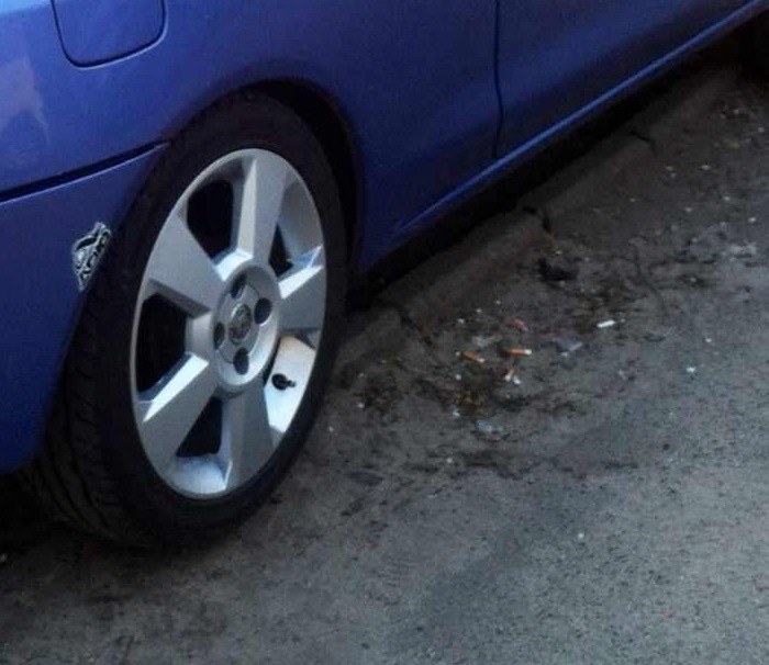 SEXY WHEELS 1