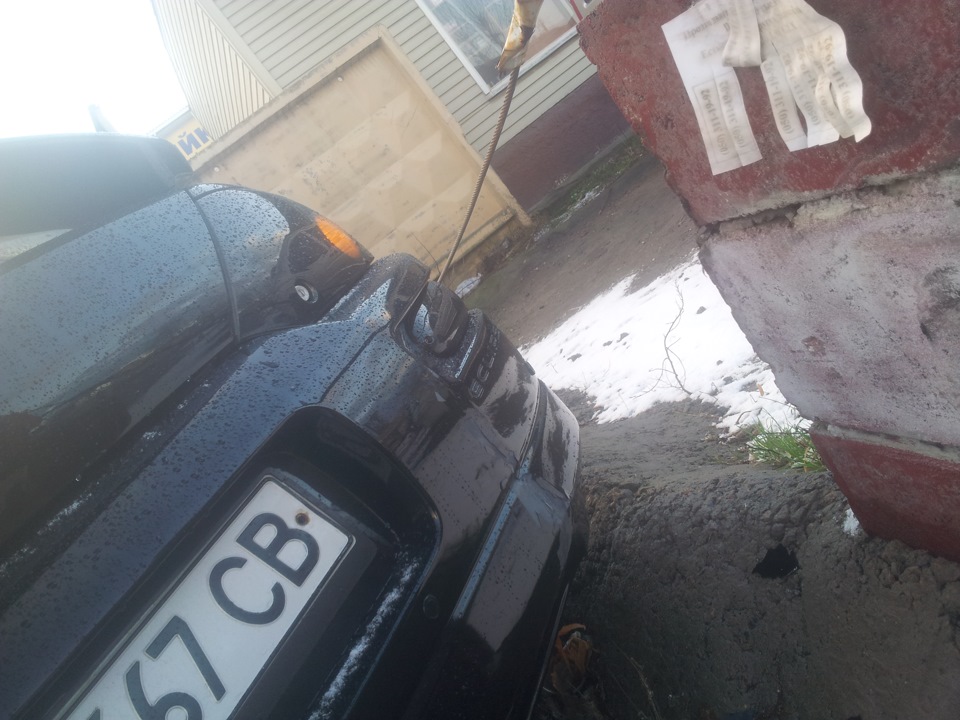 Красимо задок 1