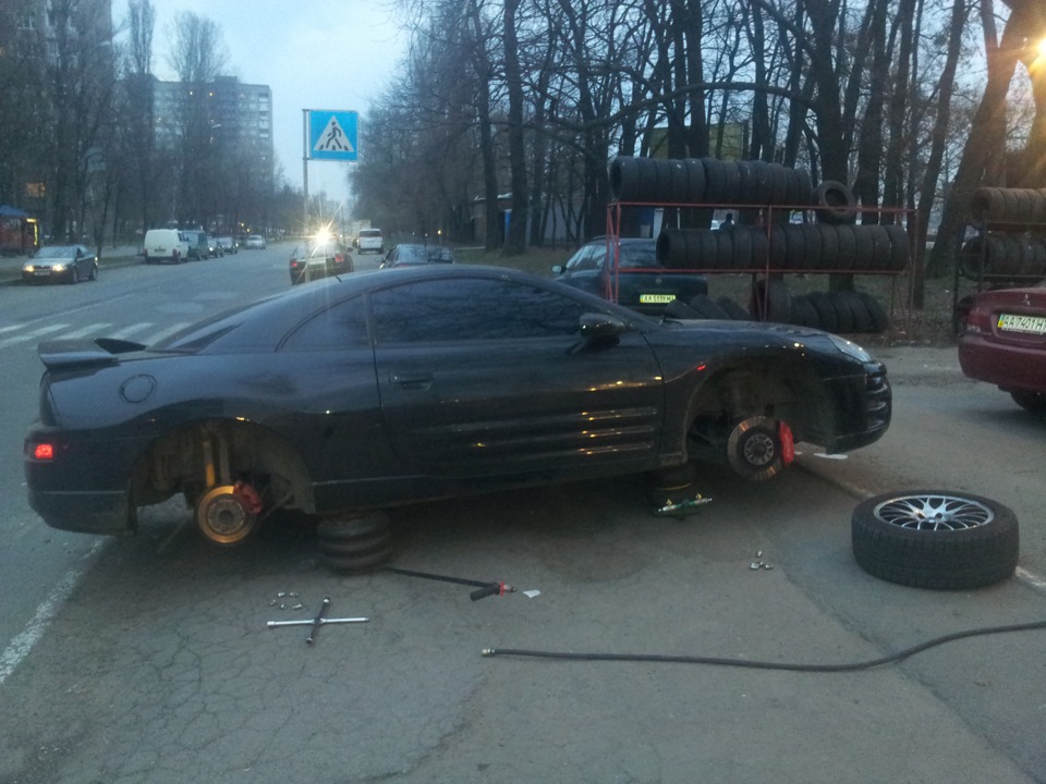 Про літні покришки та лабрадорів 3