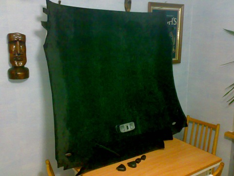 СТЕЖА 1