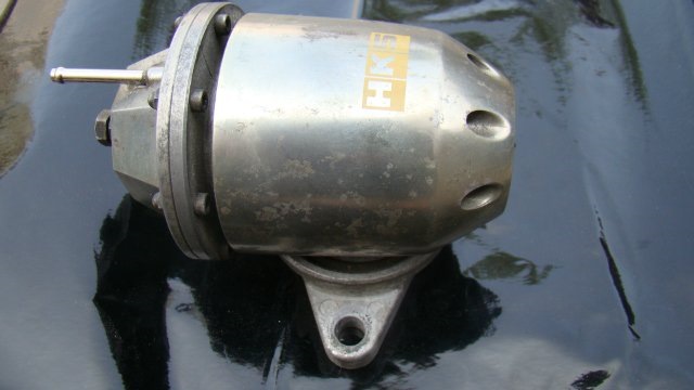 Очкоес 2