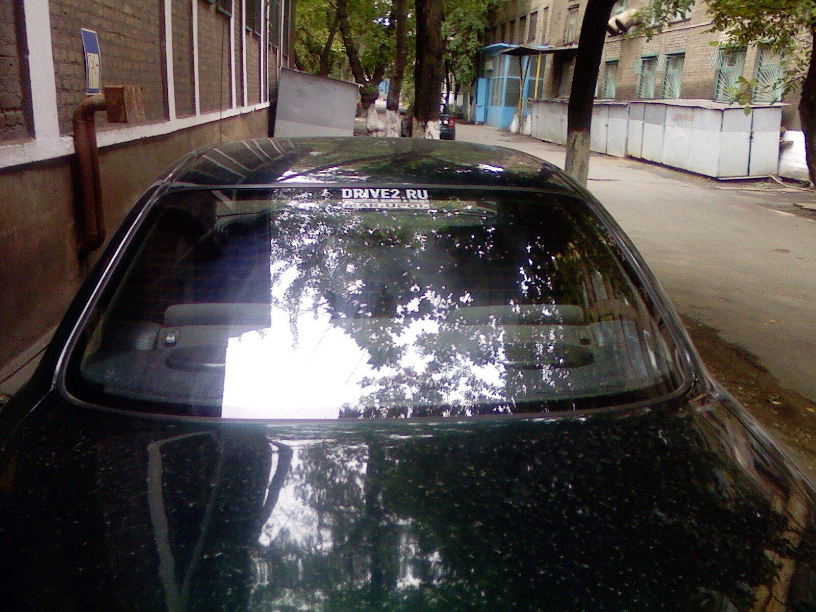 Тепер і я з наклейкою!) 1