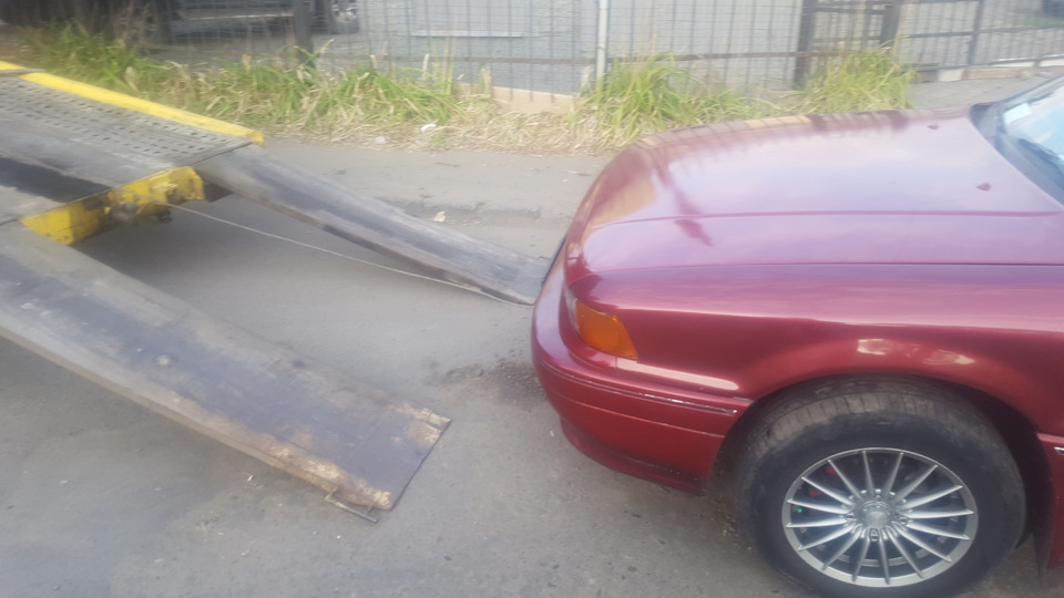 Піжнець підкрався невідомо) 5