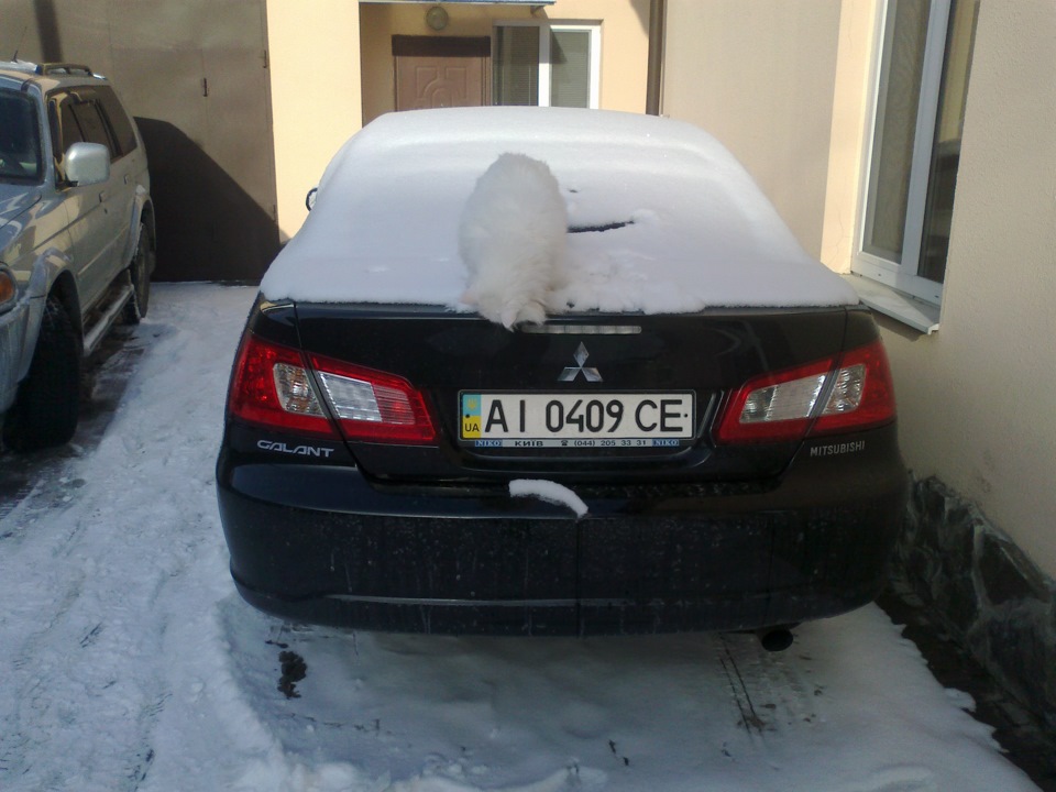 Зима у дворі 4