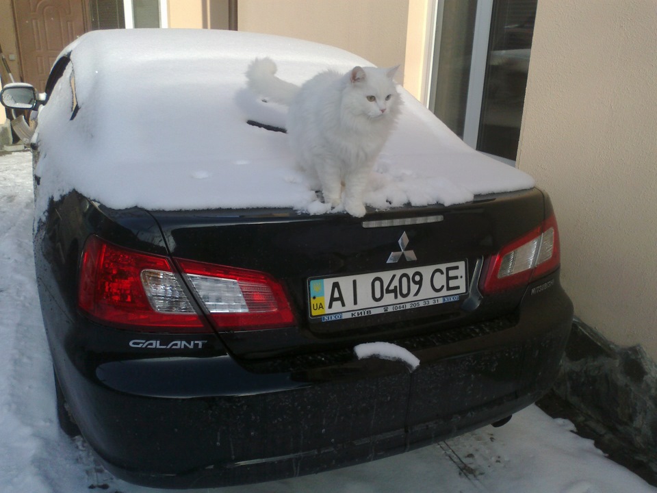 Зима у дворі 5