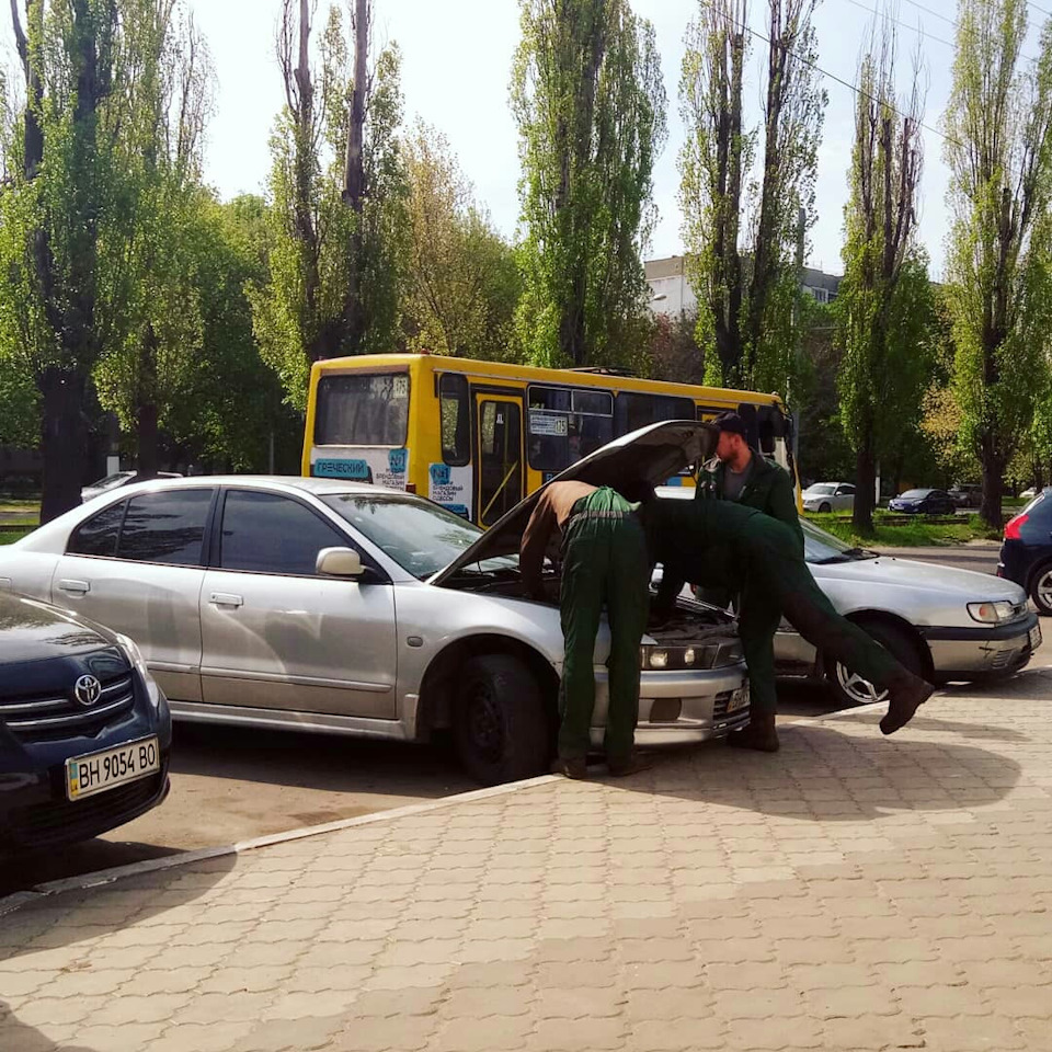 як убивали Сірого Птаха. 4