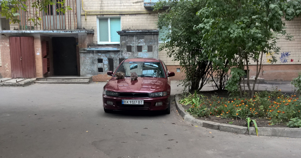 Діагностика ходової за півроку! 1