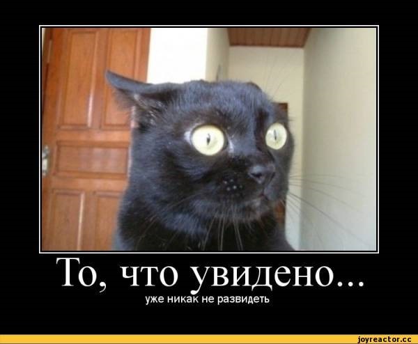Подсмотренно в нете))) 1