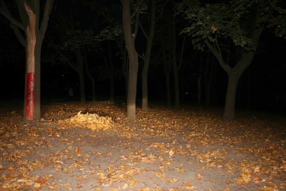 2012 жовтень ксенон 4