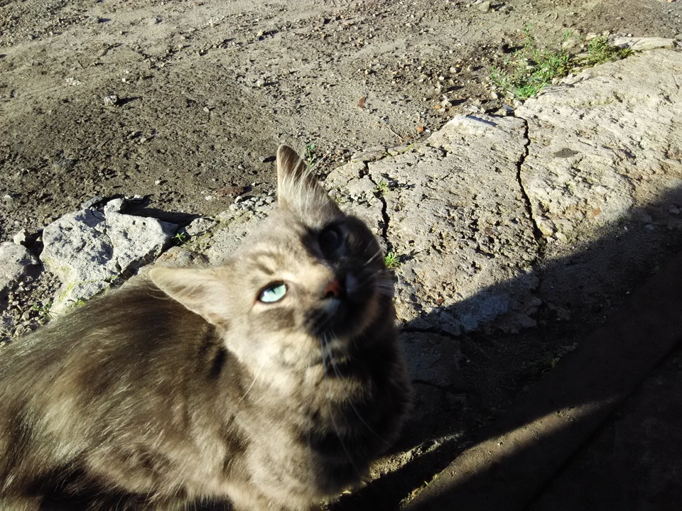 2015 липень 4