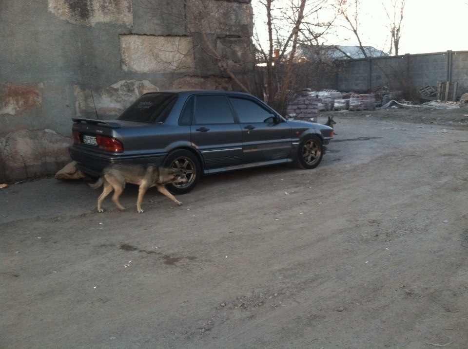 привіт ТІ 3