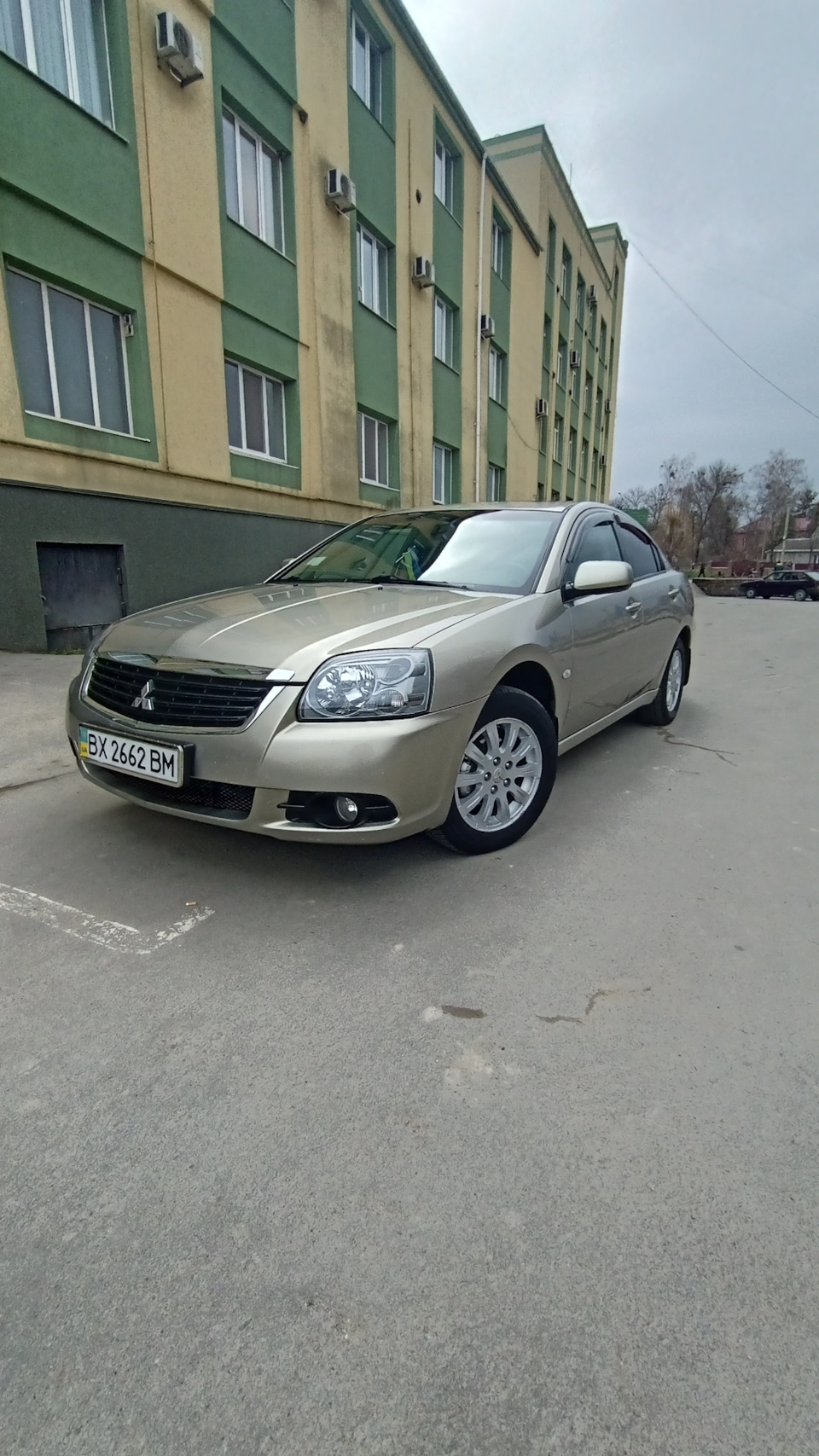#3 Весняні пробудження 3
