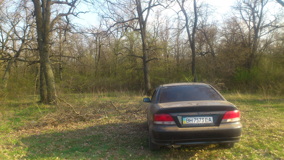 Просто так. 1