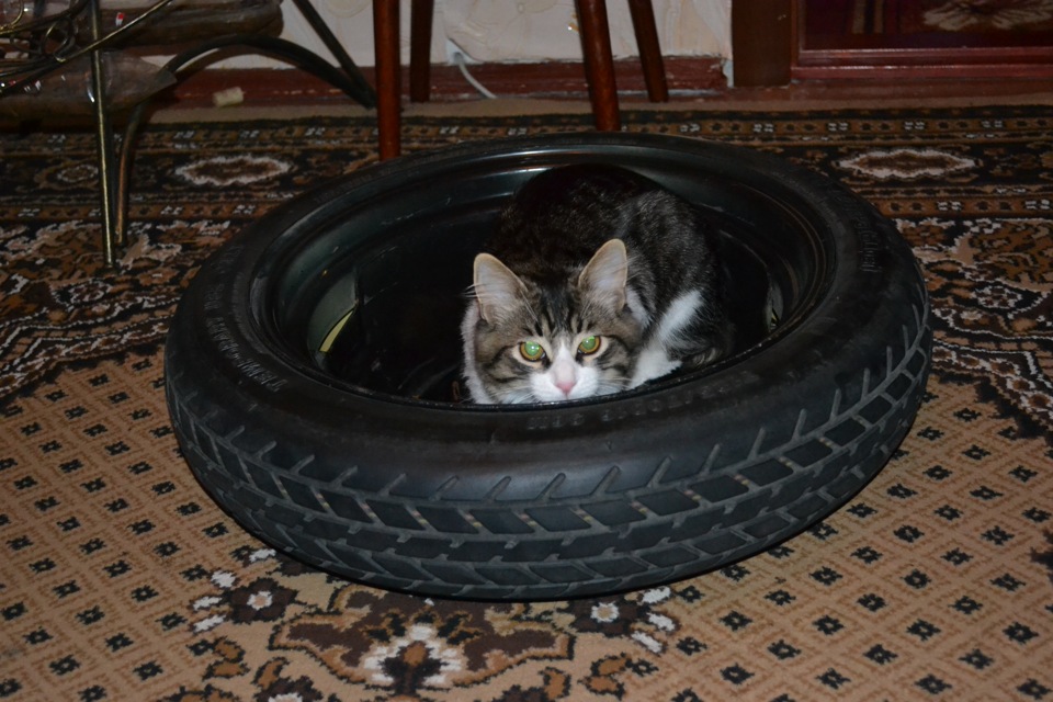 Докатка 125/70 R16 2