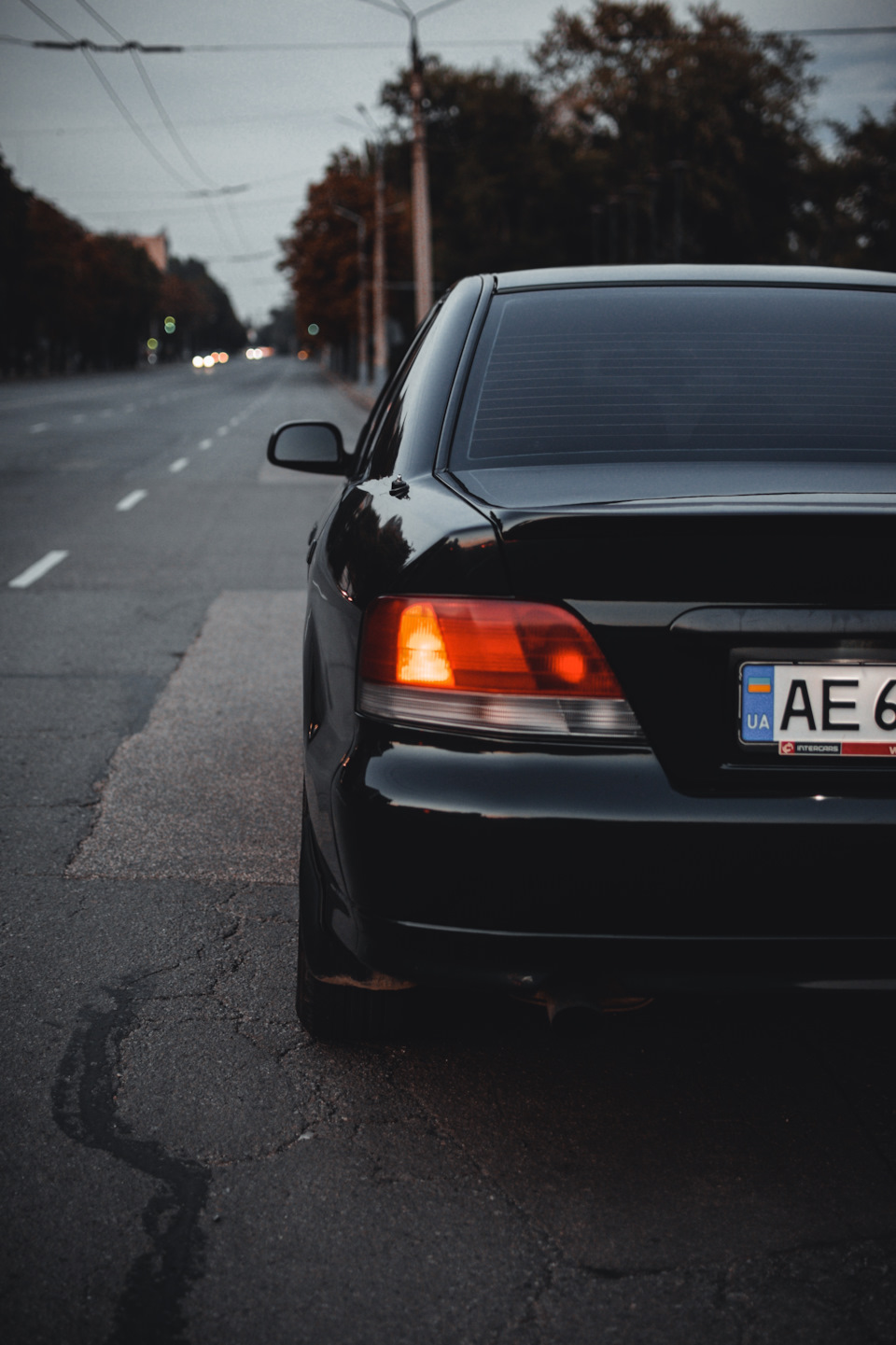 Фотосесія Galant 8 4