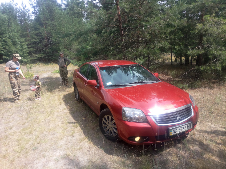 Вперше в лісі 4