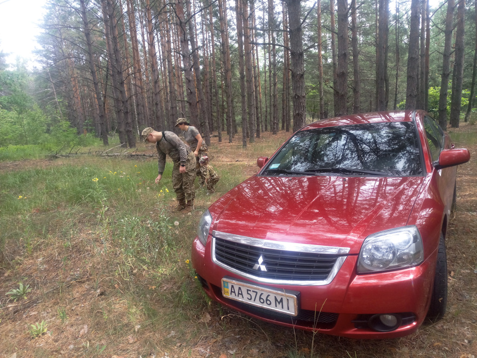 Вперше в лісі 2