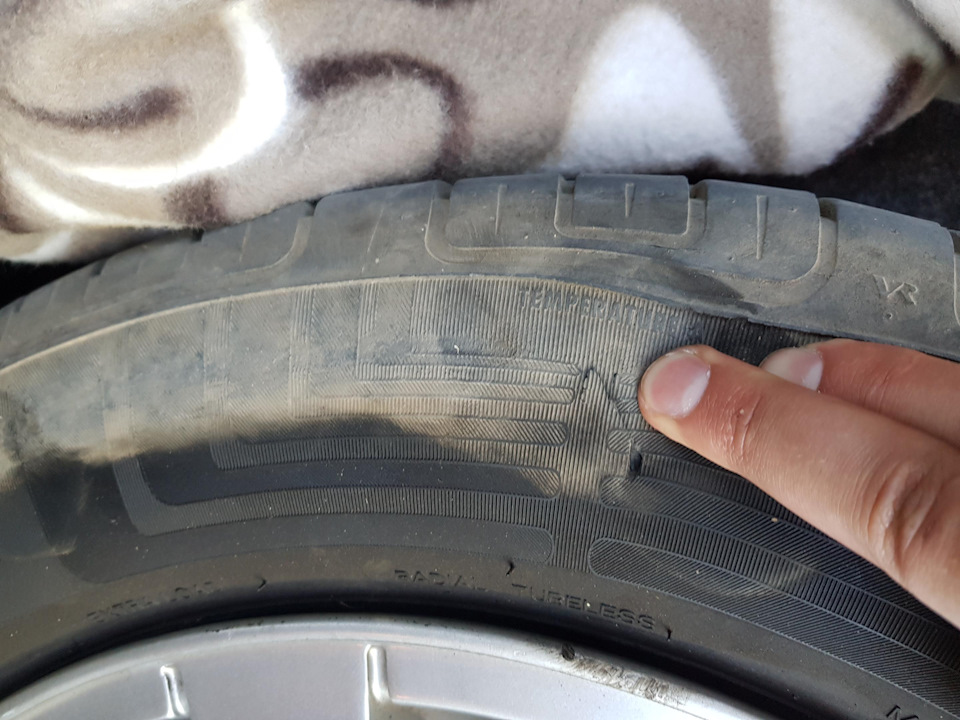 Хроніки Пончика: як вірний друг вперше підвів у самий невідповідний момент 2