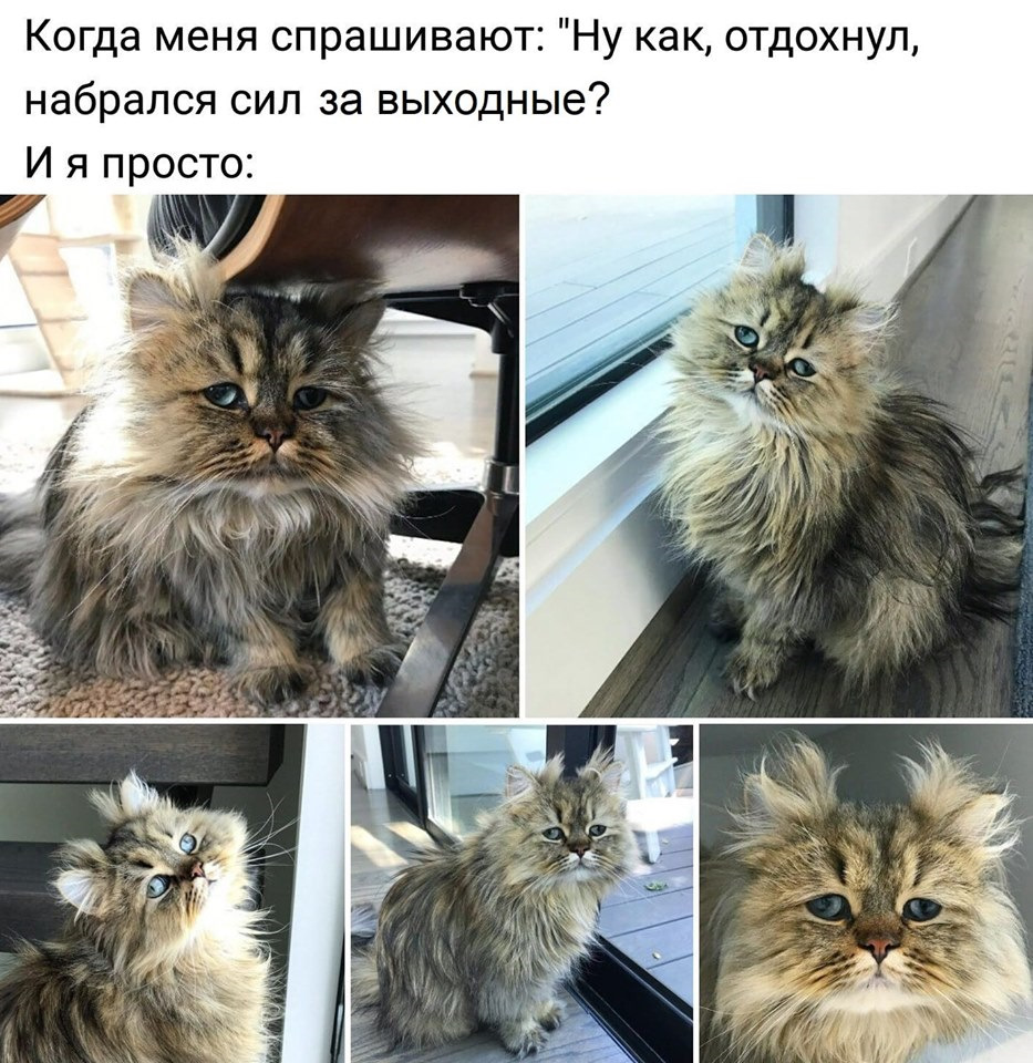 ех підвіска амортики в навісочку (автодор пдрси) =( 1