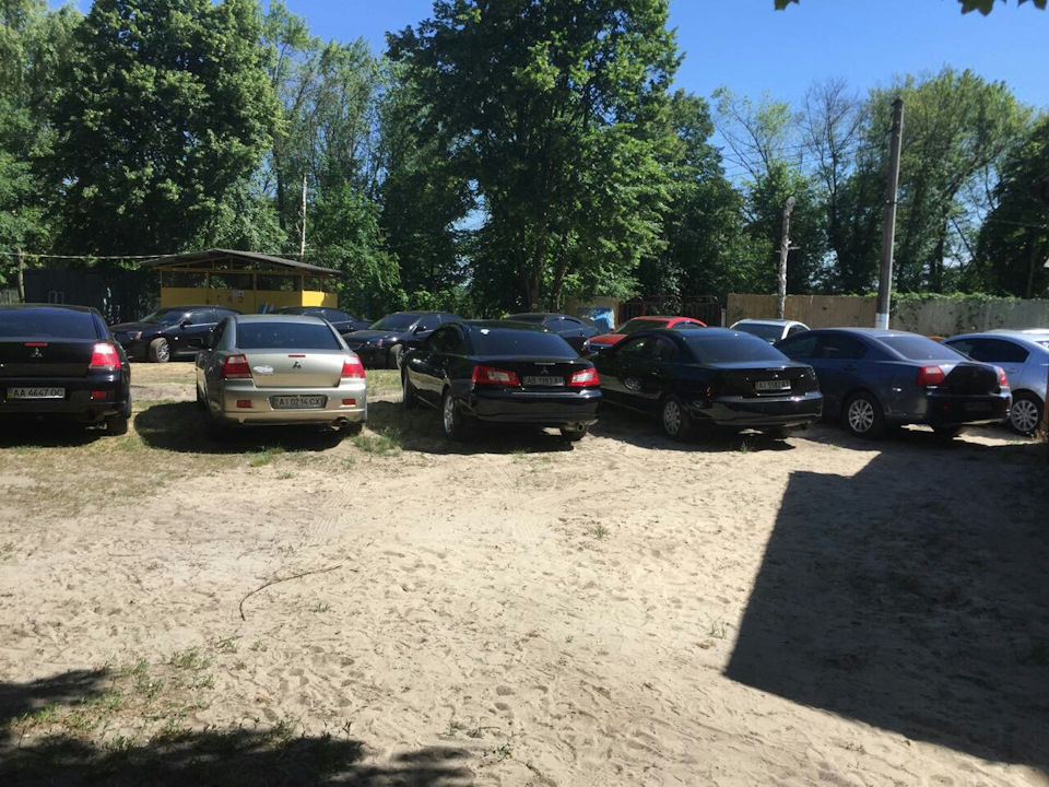 Щорічний зліт галантів 2
