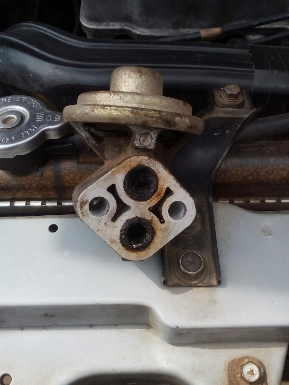 Заглушив EGR 1